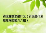 引流的意思是什么（引流是什么意思网络简介介绍）