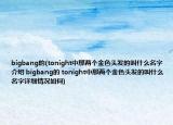 bigbang的(tonight中那两个金色头发的叫什么名字介绍 bigbang的 tonight中那两个金色头发的叫什么名字详细情况如何)