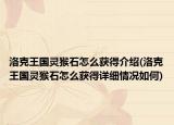 洛克王国灵猴石怎么获得介绍(洛克王国灵猴石怎么获得详细情况如何)