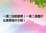 一清二白的意思（一清二清是什么意思简介介绍）