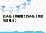 藠头是什么植物（茭头是什么菜简介介绍）