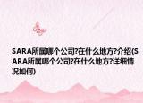 SARA所属哪个公司?在什么地方?介绍(SARA所属哪个公司?在什么地方?详细情况如何)