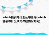 which能引导什么从句介绍(which能引导什么从句详细情况如何)