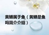 黄鳝属于鱼（黄鳝是鱼吗简介介绍）