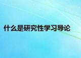 什么是研究性学习导论