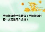 甲烷燃烧会产生什么（甲烷燃烧时有什么现象简介介绍）