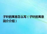 子轩的寓意怎么写（子轩的寓意简介介绍）