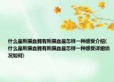 什么是熊猫血拥有熊猫血是怎样一种感受介绍(什么是熊猫血拥有熊猫血是怎样一种感受详细情况如何)
