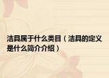洁具属于什么类目（洁具的定义是什么简介介绍）