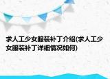 求人工少女服装补丁介绍(求人工少女服装补丁详细情况如何)