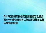 DNF宠物哥布林任务在那里接怎么做介绍(DNF宠物哥布林任务在那里接怎么做详细情况如何)