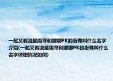 一起又看流星雨荨和娜娜PK的街舞叫什么名字介绍(一起又看流星雨荨和娜娜PK的街舞叫什么名字详细情况如何)