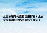 王者荣耀如何查看国服排名（王者荣耀国服排名怎么看简介介绍）