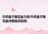 牛奶盒子做花盆介绍(牛奶盒子做花盆详细情况如何)