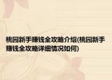 桃园新手赚钱全攻略介绍(桃园新手赚钱全攻略详细情况如何)