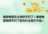 催收电话怎么突然不打了（催收电话突然不打了是为什么简介介绍）