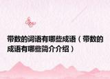 带数的词语有哪些成语（带数的成语有哪些简介介绍）