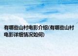 有哪些山村电影介绍(有哪些山村电影详细情况如何)