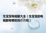 生宝宝电视剧大全（生宝宝的电视剧有哪些简介介绍）
