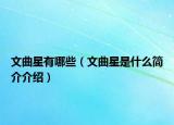 文曲星有哪些（文曲星是什么简介介绍）