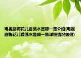 电视剧梅花儿香溅水是哪一集介绍(电视剧梅花儿香溅水是哪一集详细情况如何)