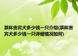 茶杯贵宾犬多少钱一只介绍(茶杯贵宾犬多少钱一只详细情况如何)