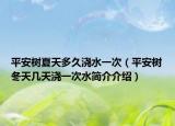 平安树夏天多久浇水一次（平安树冬天几天浇一次水简介介绍）