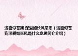 浅喜似苍狗 深爱如长风意思（浅喜似苍狗深爱如长风是什么意思简介介绍）