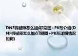 DNF机械师怎么加点?刷图+PK形介绍(DNF机械师怎么加点?刷图+PK形详细情况如何)