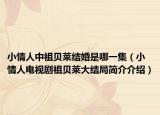 小情人中祖贝莱结婚是哪一集（小情人电视剧祖贝莱大结局简介介绍）
