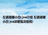 左诺诺娜小白(joa介绍 左诺诺娜小白 joa详细情况如何)