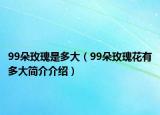 99朵玫瑰是多大（99朵玫瑰花有多大简介介绍）