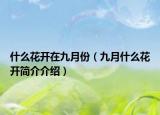 什么花开在九月份（九月什么花开简介介绍）
