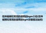 各种视频经常用的很燃的bgm介绍(各种视频经常用的很燃的bgm详细情况如何)