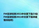 FM足球经理2011中文版下载介绍(FM足球经理2011中文版下载详细情况如何)