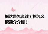 栀这是怎么读（栀怎么读简介介绍）