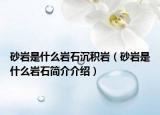 砂岩是什么岩石沉积岩（砂岩是什么岩石简介介绍）