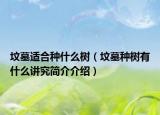 坟墓适合种什么树（坟墓种树有什么讲究简介介绍）