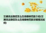 交通违法微信怎么在线缴纳罚款介绍(交通违法微信怎么在线缴纳罚款详细情况如何)