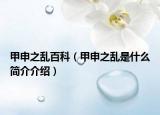 甲申之乱百科（甲申之乱是什么简介介绍）