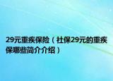 29元重疾保险（社保29元的重疾保哪些简介介绍）
