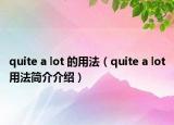 quite a lot 的用法（quite a lot用法简介介绍）