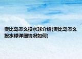 奥比岛怎么投水球介绍(奥比岛怎么投水球详细情况如何)