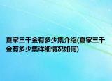 夏家三千金有多少集介绍(夏家三千金有多少集详细情况如何)