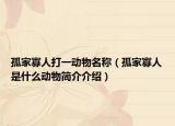 孤家寡人打一动物名称（孤家寡人是什么动物简介介绍）