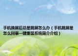 手机换屏后总是跳屏怎么办（手机跳屏是怎么回事一键重装系统简介介绍）