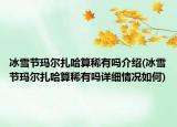 冰雪节玛尔扎哈算稀有吗介绍(冰雪节玛尔扎哈算稀有吗详细情况如何)
