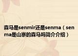 森马是senmir还是senma（senma是山寨的森马吗简介介绍）