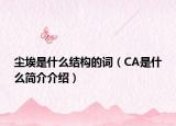尘埃是什么结构的词（CA是什么简介介绍）
