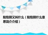 阳包阴又叫什么（阳包阴什么意思简介介绍）